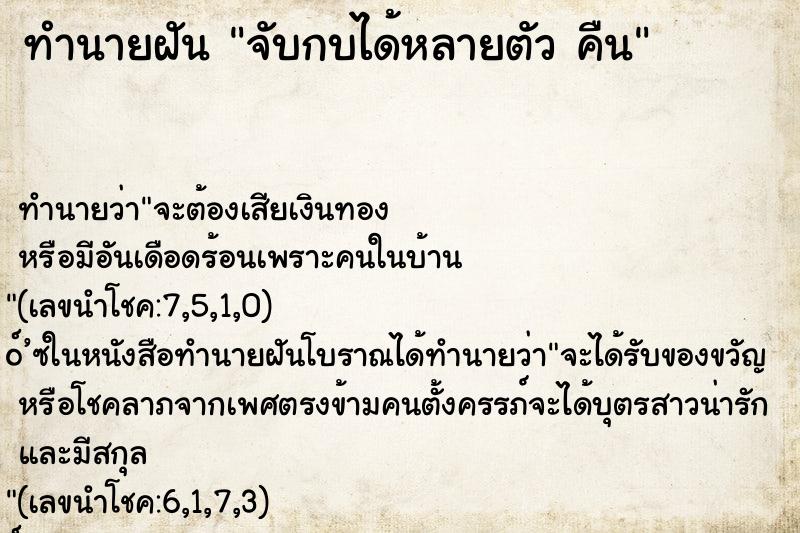 ทำนายฝัน จับกบได้หลายตัว คืน